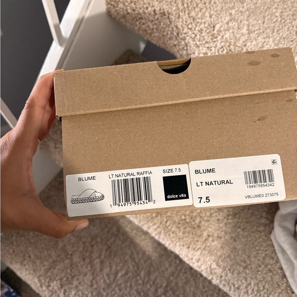 Dolce Vita Cardboard Shoe Box in Brown